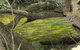 Clyde River Retreat - thumb 2