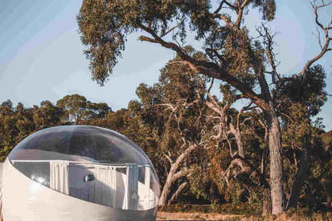 Coonawarra Bubble Tents - Kingaroy Accommodation 0