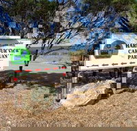 Cowell Harbor View Caravan Park - Kingaroy Accommodation