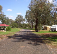 Dunedoo Caravan Park - Kingaroy Accommodation