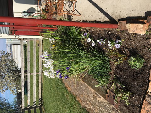 Fairview Bed And Breakfast Cottage - Kingaroy Accommodation 2