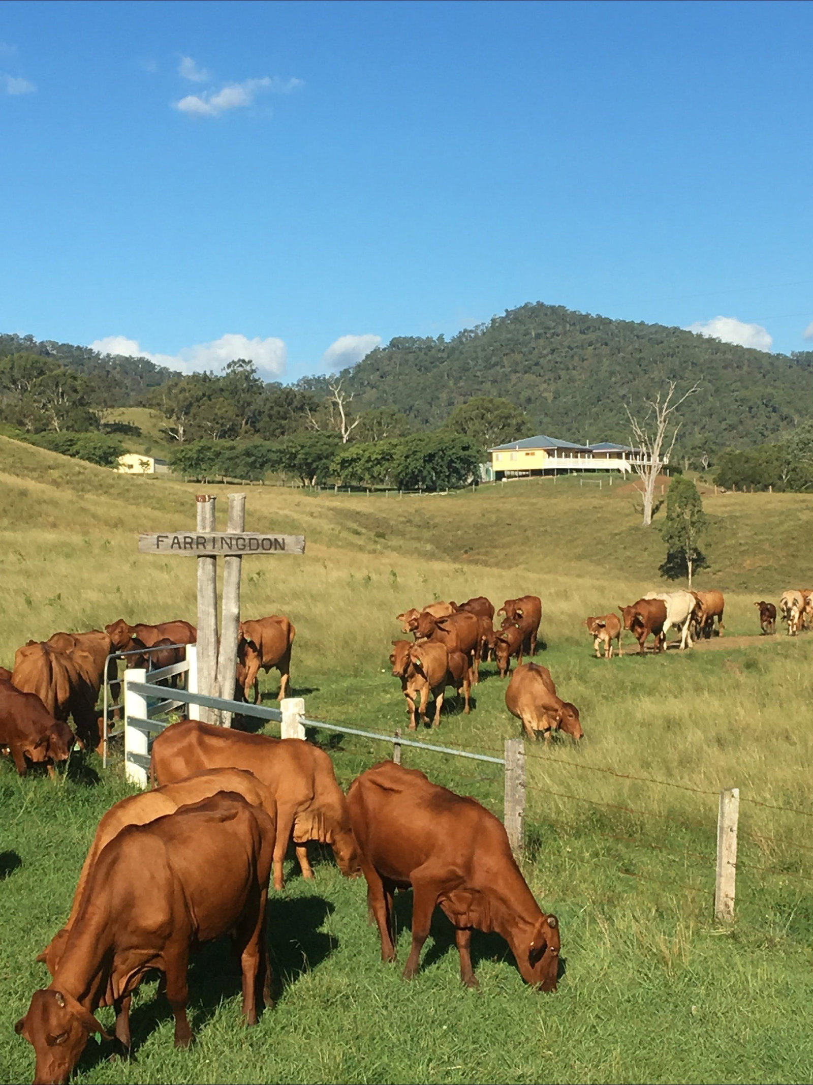 Tabooba QLD Kingaroy Accommodation