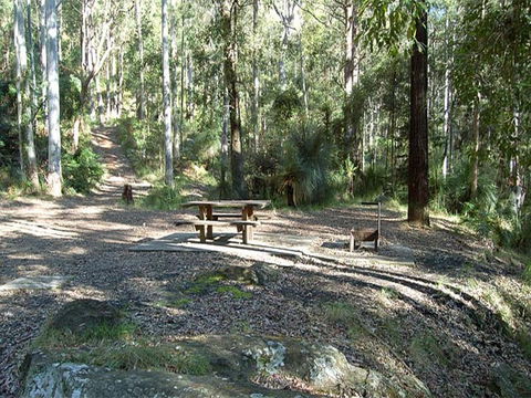Gap Creek Campground - Kingaroy Accommodation 1