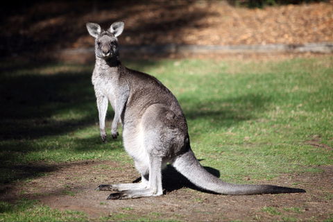 Holiday Haven Bendalong - Kingaroy Accommodation 5