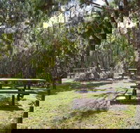 Illaroo group camping area - Kingaroy Accommodation