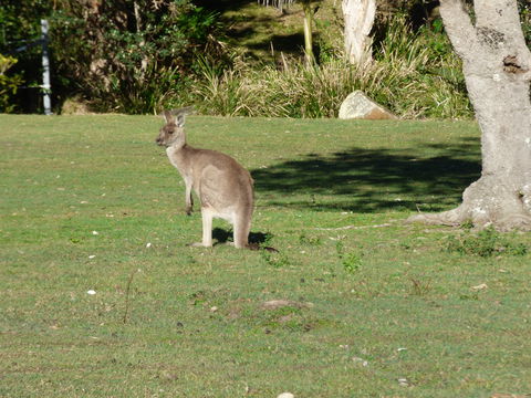 Little Bay Cottage - Kingaroy Accommodation 2
