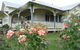 McGowans Boutique Bed And Breakfast - thumb 1