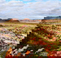 Miliyanha Camp at Millstream Chichester National Park - Kingaroy Accommodation