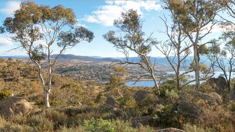 Peak View House - Kingaroy Accommodation 0