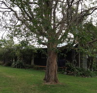 Wonga - Kingaroy Accommodation