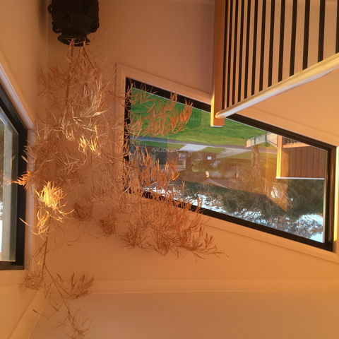 Barefoot Beach Stays - Kingaroy Accommodation 1