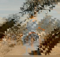 Bullo River Station - Kingaroy Accommodation