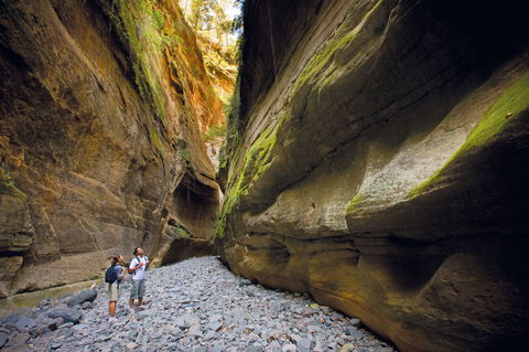 Carnarvon National Park Camping - Kingaroy Accommodation 0
