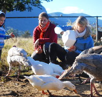 Cedar Glen Farmstay - Kingaroy Accommodation