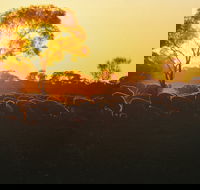 Clandulla Cottages  Farmstay