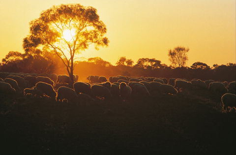 Clandulla Cottages & Farmstay - Kingaroy Accommodation 0