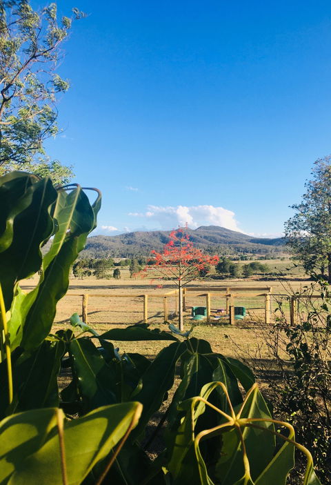 Clandulla Cottages & Farmstay - Kingaroy Accommodation 2