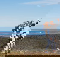 Cowell RV Park - Kingaroy Accommodation