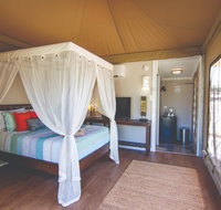 Dubbo Rhino Lodge - Kingaroy Accommodation