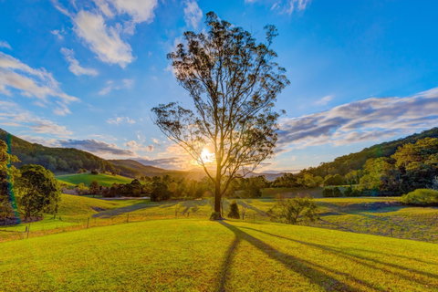 Friday Creek Retreat - Kingaroy Accommodation 2