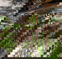 Melaleuca Surfside Backpackers - Kingaroy Accommodation