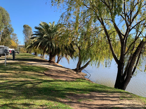 Robinvale Riverside Caravan Park - Kingaroy Accommodation 0