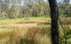 Tin Mines Campground - thumb 1