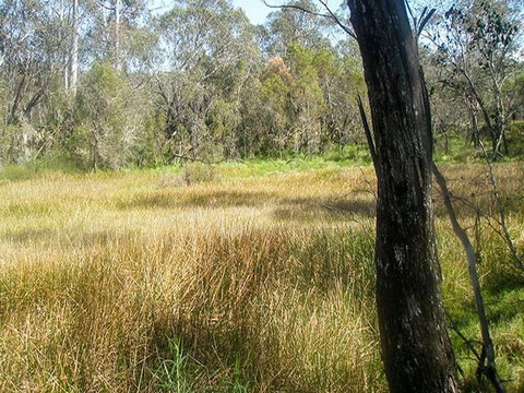 Tin Mines Campground - Kingaroy Accommodation 1