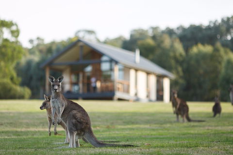 Yering Gorge Cottages - Kingaroy Accommodation 0