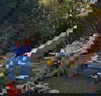 Zeehan Bush Camp - Kingaroy Accommodation