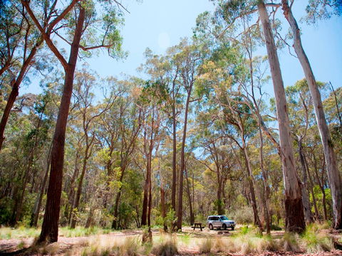 Coolah Tops National Park Camping - Kingaroy Accommodation 0