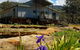 Fieri Natura In Kangaroo Valley - thumb 0