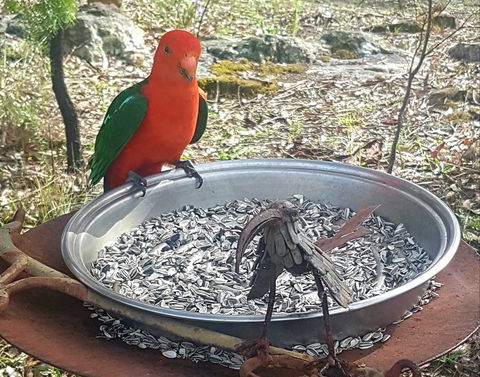 Fieri Natura In Kangaroo Valley - Kingaroy Accommodation 2