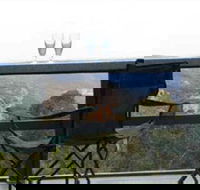 Hatters Hideout Lyres Loft