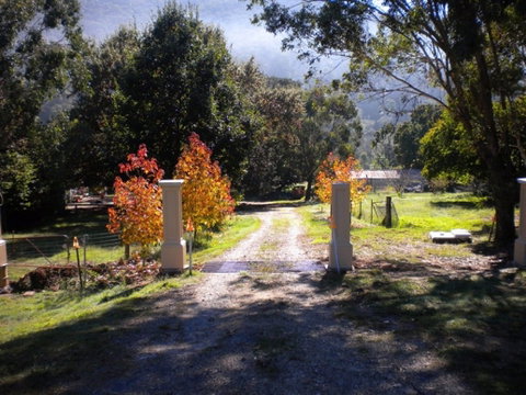 Hillview Oak Bed And Breakfast - Kingaroy Accommodation 0