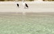 Kangaroo Island Star Beach House - thumb 1