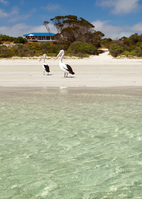 Kangaroo Island Star Beach House - Kingaroy Accommodation 1