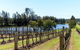 The Cottage Hunter Valley - thumb 0