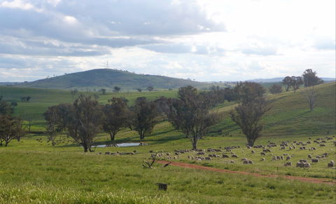 Wantana Cottage Farm Stay - Kingaroy Accommodation 0