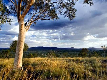 Karijini Eco Retreat - Kingaroy Accommodation 5