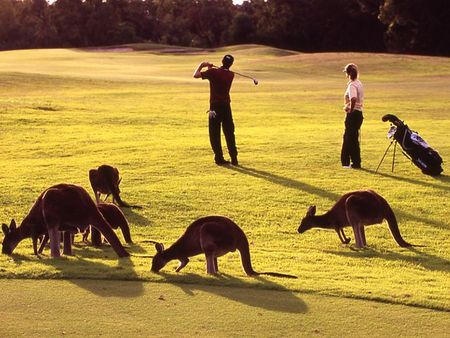 Novotel Swan Valley Vines Resort - Kingaroy Accommodation 1