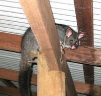 Warren River Resort - Kingaroy Accommodation