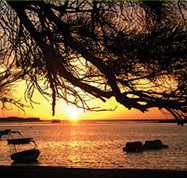 Pelican's Nest - Kingaroy Accommodation