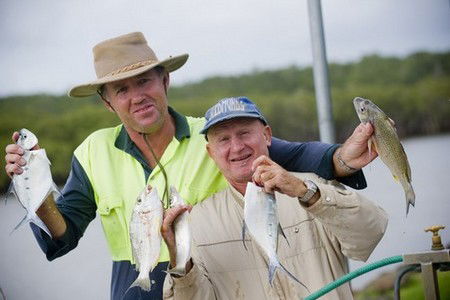 Terrace Reserve Holiday Park - Kingaroy Accommodation 1