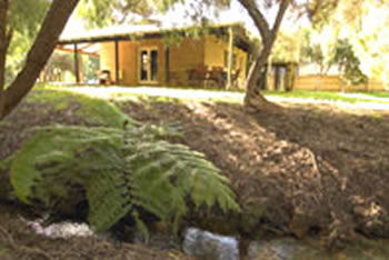 Peppermint House On 79 Tunbridge Street - Kingaroy Accommodation 0