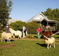 Sunnyhurst Chalets - Kingaroy Accommodation