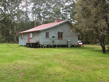Pemberton Forest Stay - Kingaroy Accommodation 5