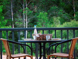 Peppermint Grove Retreat - Kingaroy Accommodation 2