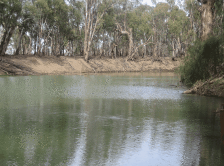 Balranald Club Motel - Kingaroy Accommodation 1