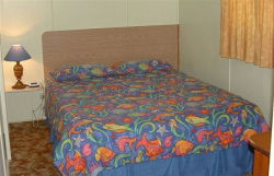 Sun Valley Tourist Park - Kingaroy Accommodation 0